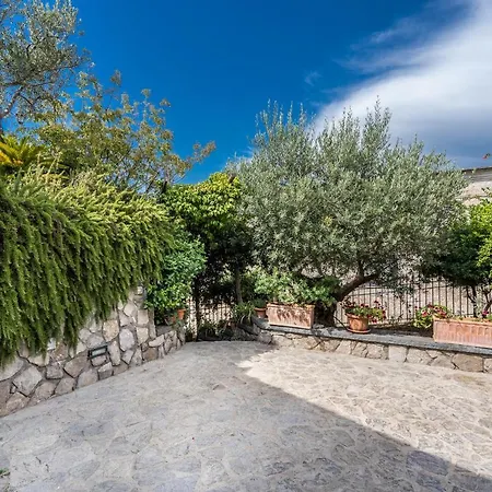 Celentano Vico Equense